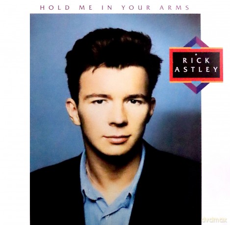 Rick Astley: Hold Me In Your Arms (2023 Remaster) [Winyl]