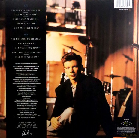 Rick Astley: Hold Me In Your Arms (2023 Remaster) [Winyl]