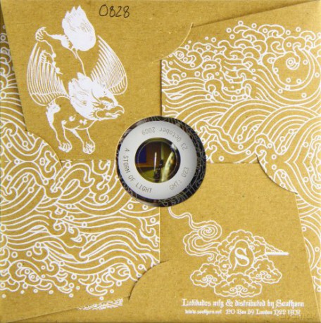 A Storm Of Light: A Storm Of Light [CD]