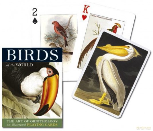 Karty 1482 Birds of the World [KARTY]