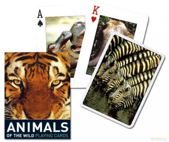 Karty 1483 Animals of the Wild [KARTY]