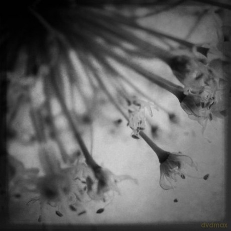 Field Rotation: Acoustic Tales [2xWinyl]