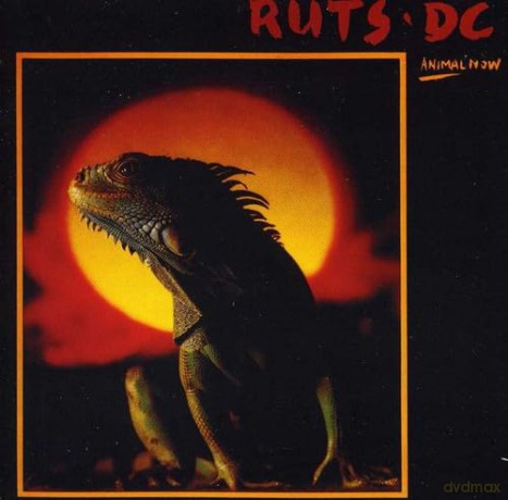 Ruts Dc: Animal Now [CD]
