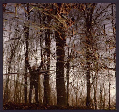 Apoptose: Bannwald [CD]