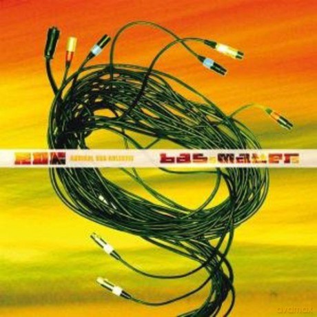 Radikal Dub Kolektiv: Bass Masters [Winyl]