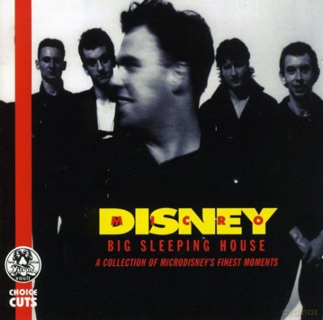 Microdisney: Big Sleeping House - A Collection Of Microdisney's Finest Moments [CD]