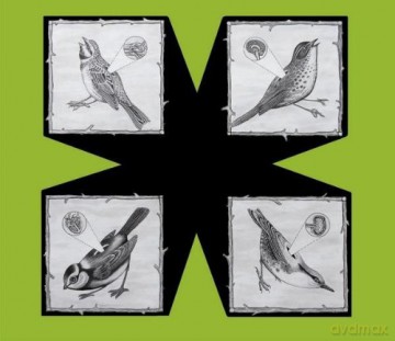 North Sea Radio Orchestra: Birds [CD]