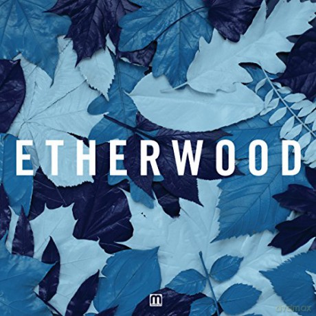 Etherwood: Blue Leaves [2xWinyl]