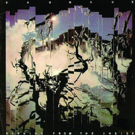 Bauhaus: Burning From The Inside [Winyl]