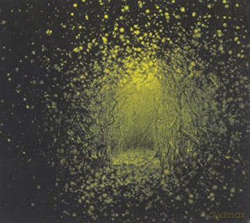 The Antlers: Burst Apart [CD]
