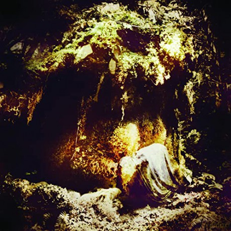 Wolves In The Throne Room: Celestial Lineage [CD]