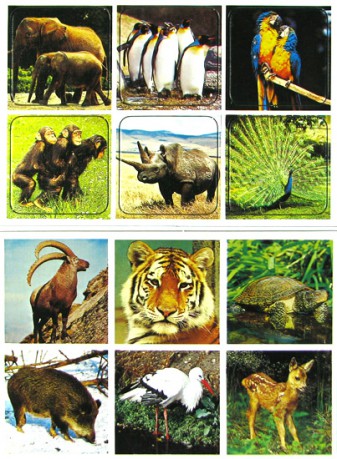 Zoo Lotto w metalowej puszce [GRA]