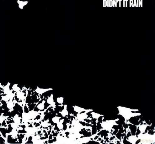 Songs: Ohia: Didn't It Rain [Winyl]