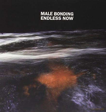 Male Bonding: Endless Now [Winyl]