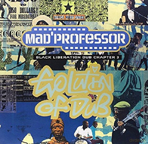 Mad Professor: Evolution Of Dub - Black Liberation Dub Chapter 3 [Winyl]
