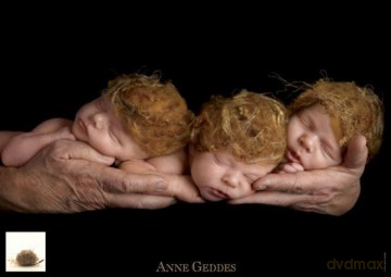 SCHMIDT SPIELE 1000 El. El. Anne Geddes Trojaczki [PUZZLE]