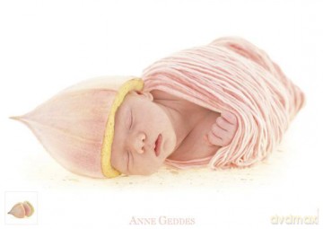SCHMIDT SPIELE 1000 El. El. Anne Geddes W objęciach eukaliptusa [PUZZLE]