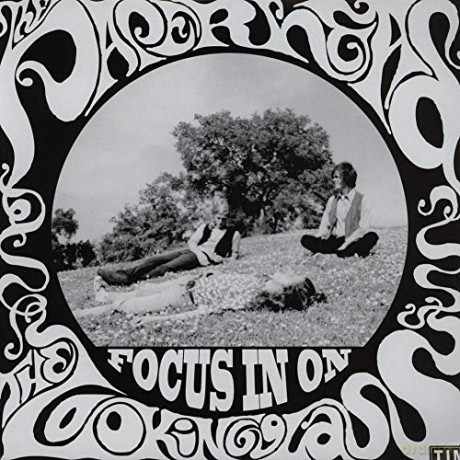The Paperhead: Focus In On... The Looking Glass [Winyl]
