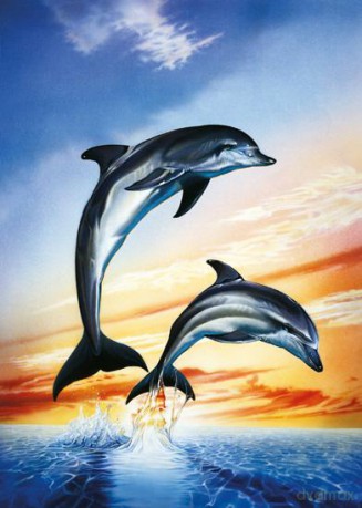 SCHMIDT SPIELE 1000 El. Delfiny [PUZZLE]