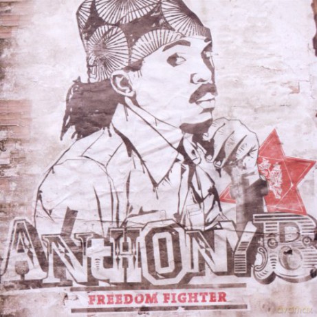 Anthony B.: Freedom Fighter [CD]