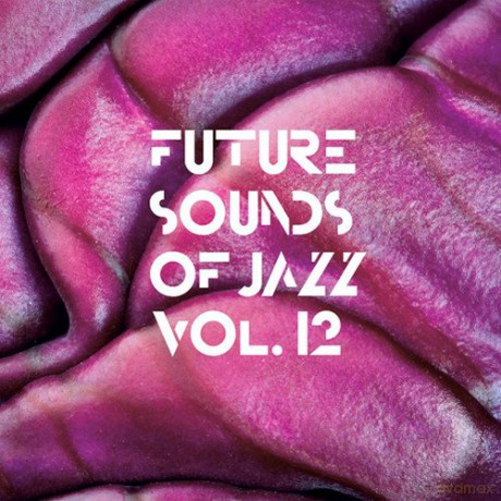 Future Sounds Of Jazz Vol.12 [2CD]