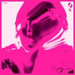 Ty Segall: Gemini [Winyl]