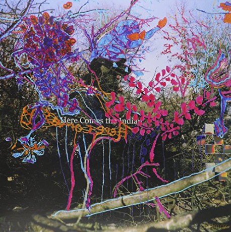 Animal Collective: Here Comes The Indian [Winyl]