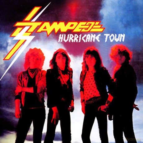 Stampede: Hurricane Town [CD]