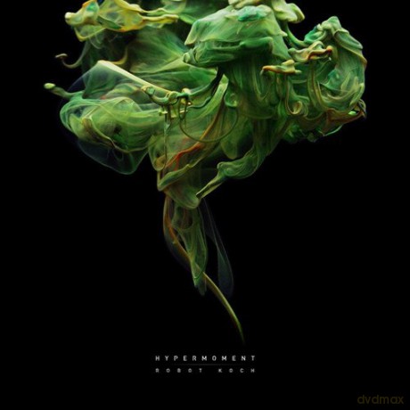 Robot Koch: Hypermoment [2xWinyl]