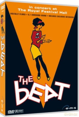 The Beat: In Concert At The Royal Festival Hall [DVD]