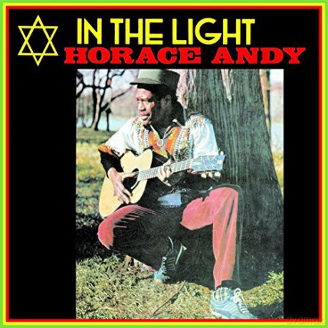 Horace Andy: In The Light [Winyl]
