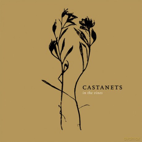 Castanets: In The Vines [Winyl]