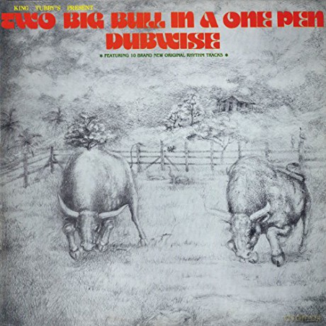 King Tubby: King Tubby's Presents Two Big Bull In A One Pen Dubwise [CD]