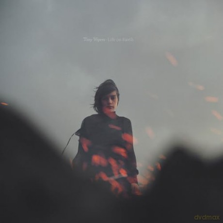 Tiny Vipers: Life On Earth [CD]