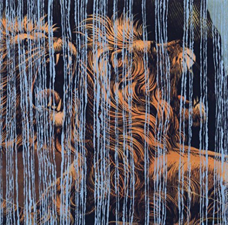 Julian Lynch: Lines [Winyl]