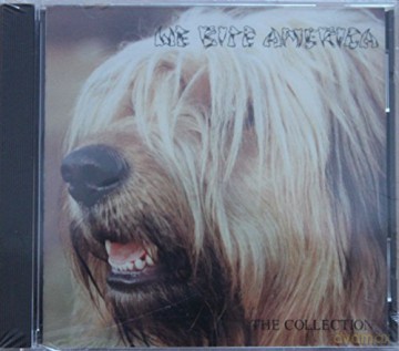 Live: Live In America [CD]