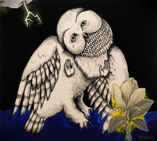 Songs: Ohia: Magnolia Electric Co. [CD]