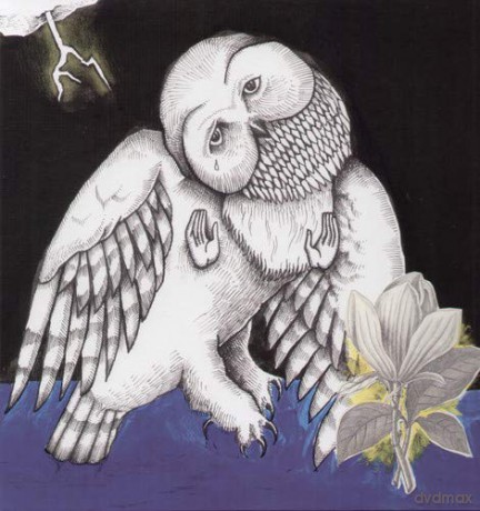 Songs: Ohia: Magnolia Electric Co. [Winyl]