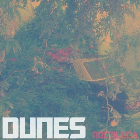 Dunes: Noctiluca [Winyl]