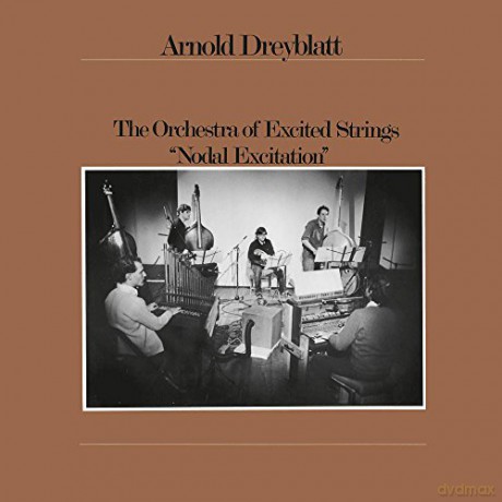 Arnold Dreyblatt And The Orchestra Of Excited Strings: Nodal Excitation [Winyl]