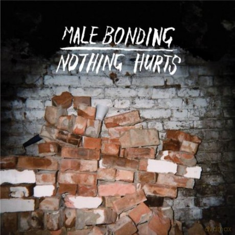 Male Bonding: Nothing Hurts [Winyl]