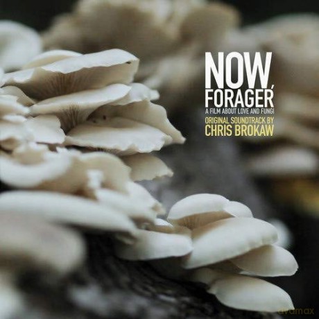 Chris Brokaw: Now Forager (Original Soundtrack) [Winyl]