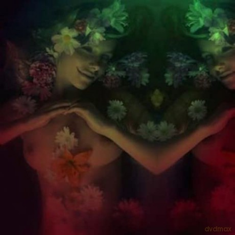 Andrew Liles: Ouarda (The Subtle Art Of Phyllorhodomancy) [CD]+[DVD]