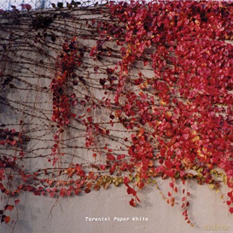 Tarentel: Paper White [CD]