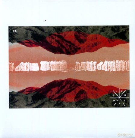 Touche Amore: Parting The Sea Between Brightness And Me [Winyl]