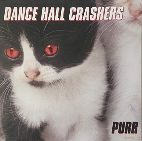 Dance Hall Crashers: Purr [Winyl]
