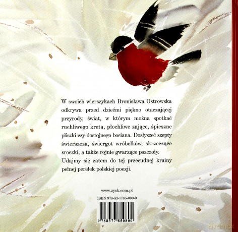 Dzięcioł puka, sroczka skrzeczy - Bronisława Ostrowska [KSIĄŻKA]