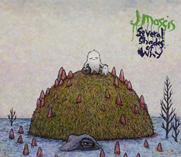 J Mascis: Several Shades Of Why [Winyl]
