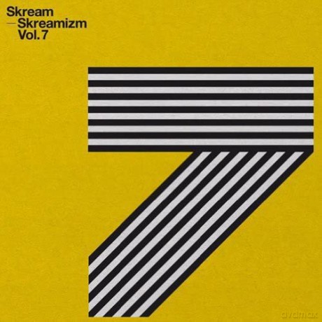 Skream: Skreamizm Vol.7 [3xWinyl]