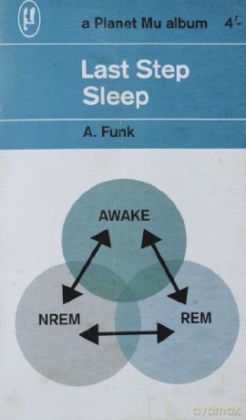 Last Step: Sleep [Winyl]